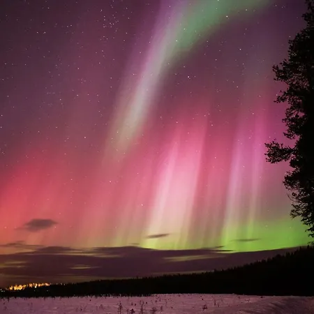 Terra Ultima Villa Rovaniemi Eksteriør billede
