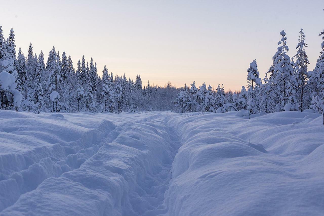 Terra Ultima Feriehus Rovaniemi