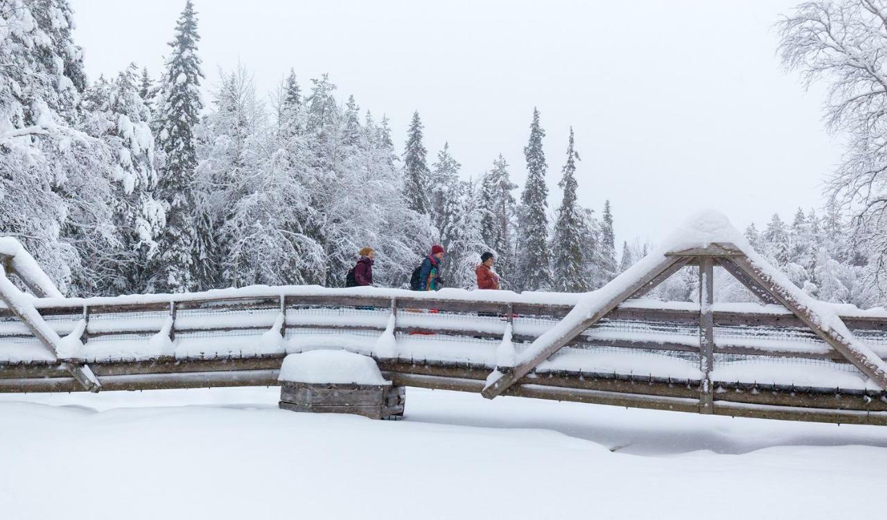 Feriehus Terra Ultima Rovaniemi