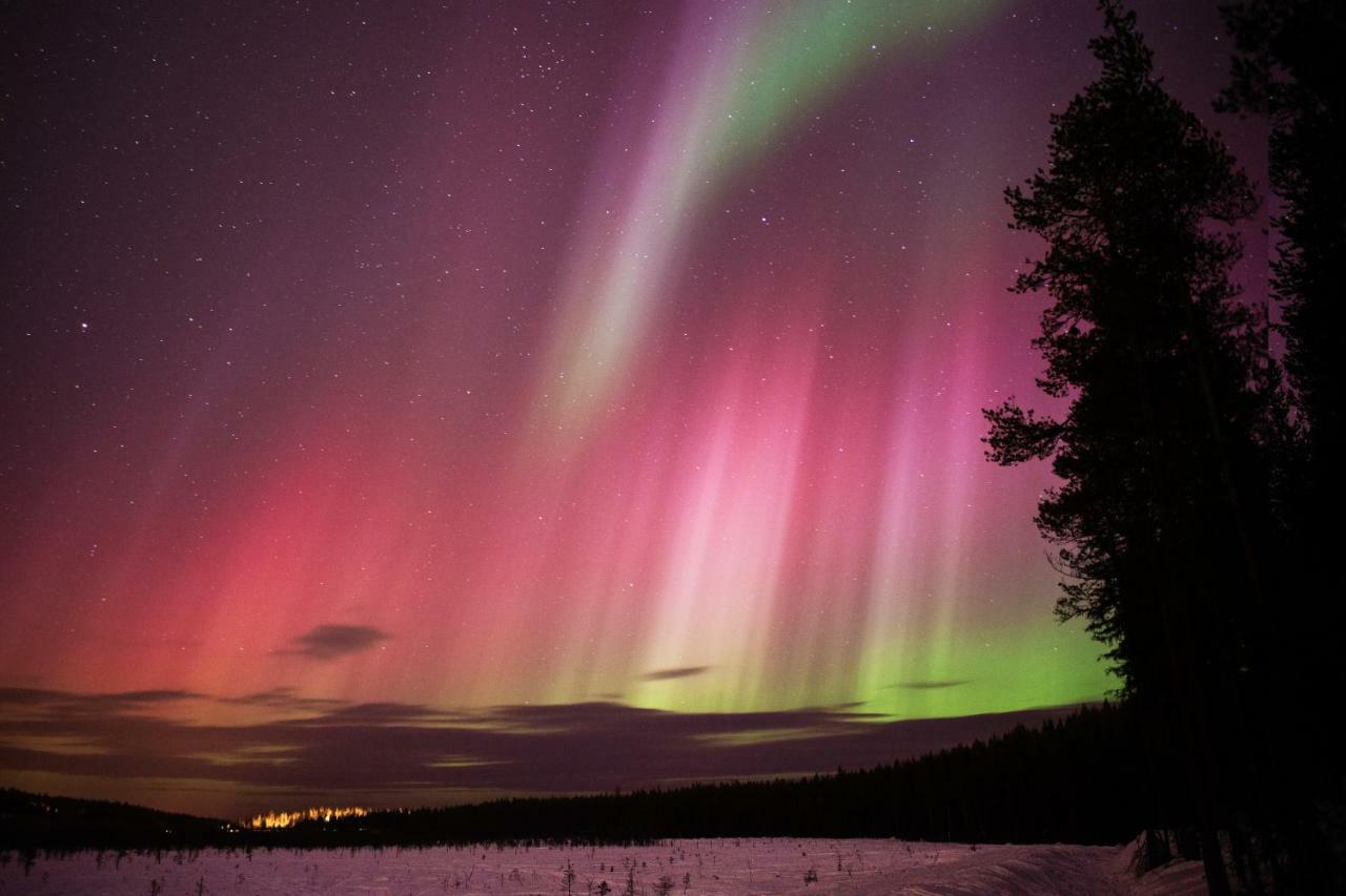Feriehus Terra Ultima Rovaniemi